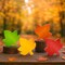 4 PCS Wooden Fall Maple Leaf Table Decor – Farmhouse Autumn Harvest Decorations for Thanksgiving Centerpiece, Tiered Tray, Mantel, Shelf, Office, Kitchen & Home Seasonal Decor Signs